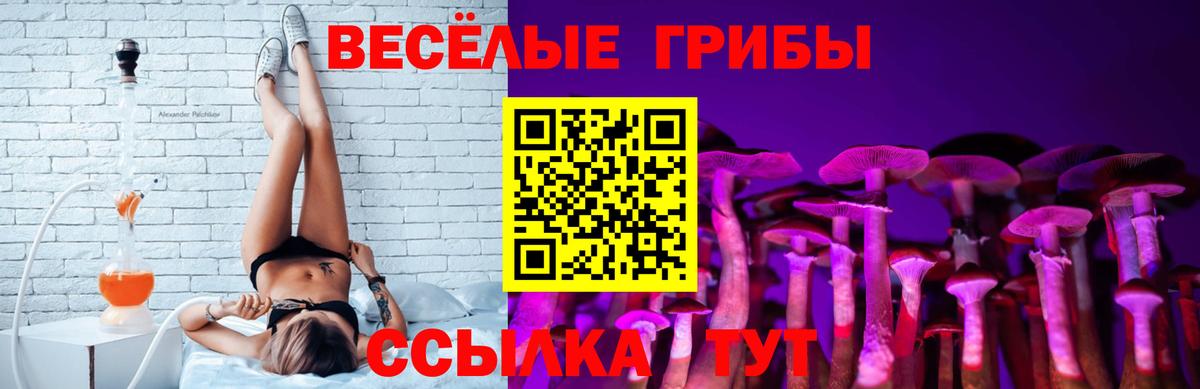 Галлюциногенные грибы GOLDEN TEACHER Джанкой
